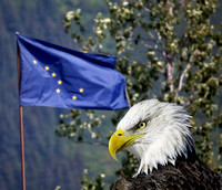 Eagle and Alaska Flag-Edit